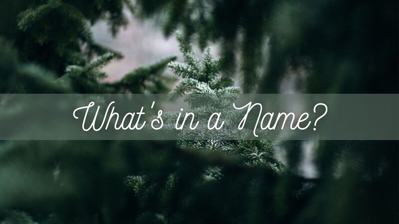 What's in a Name?